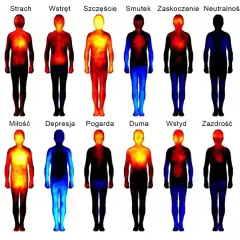 Termiczne mapy ludzkiego ciała pokazujące rozkład emocji: od złości i strachu po miłość i dumę. Czyżby megalomania objawiała się gorącem w klatce piersiowej?