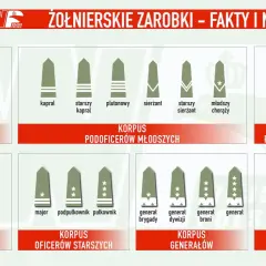 Grafika przedstawia stopnie wojskowe w Wojsku Polskim, od szeregowego do Marszałka Polski. Wojak w różnych rangach.