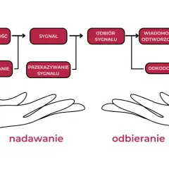 Schemat procesu komunikacji interpersonalnej: nadawca, kodowanie, sygnał, przekazywanie, odbiór, odkodowanie, odtworzenie wiadomości i interpretacja.