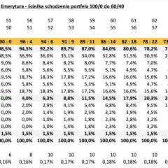 Tabela OIPE: ścieżka schodzenia portfela od 100/0 do 60/40, z podziałem na akcje, obligacje i gotówkę. Wiek mężczyzny i kobiety rośnie. Widać oipe.