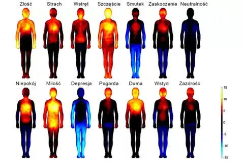 Termiczne mapy ludzkiego ciała pokazujące rozkład emocji: od złości i strachu po miłość i dumę. Czyżby megalomania objawiała się gorącem w klatce piersiowej?