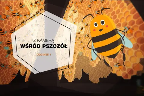 Jak powstaje miód? Edukacyjny film dla dzieci o pszczołach