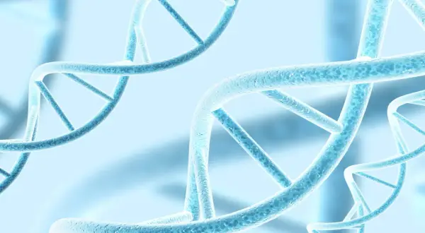 Błękitne, spiralne struktury DNA, symbolizujące polimorfizm i różnorodność genetyczną, unoszą się w eterycznym tle.