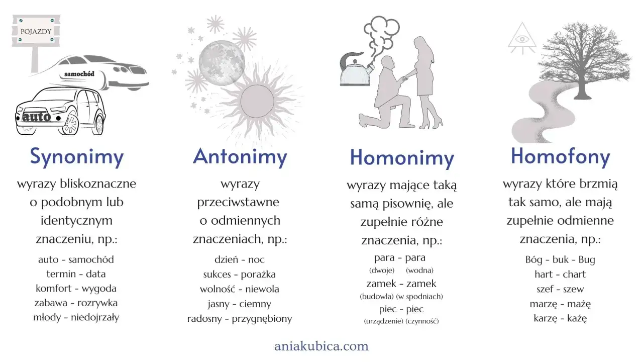 Synonimy to wyrazy bliskoznaczne, np. auto i samochód. Obrazek ilustruje też antonimy, homonimy i homofony.