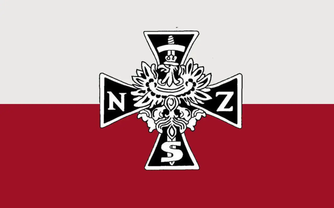 Symbol z orłem i literami N, Z, S na tle flagi Polski. Symbol ten jest często kojarzony z nacjonalizmem.
