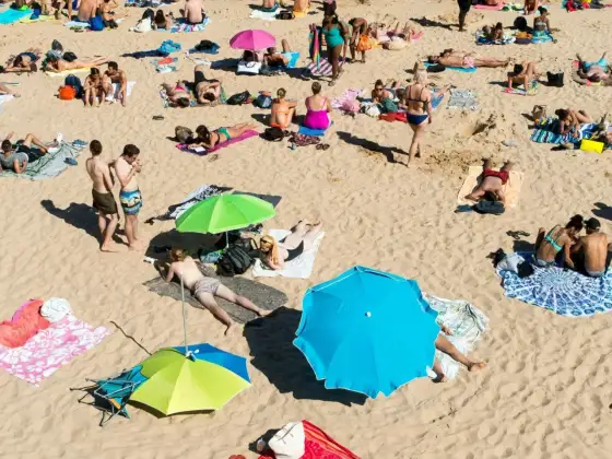 Wakacje pod gruszą - Jak dostać dopłatę do wypoczynku?