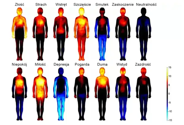 Termiczne mapy ludzkiego ciała pokazujące rozkład emocji: od złości i strachu po miłość i dumę. Czyżby megalomania objawiała się gorącem w klatce piersiowej?